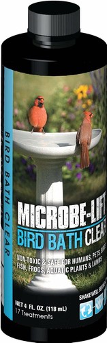 Bird bath clear two one - clear, two-in-one