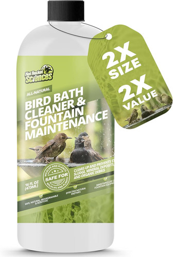 16oz bird bath - bird,