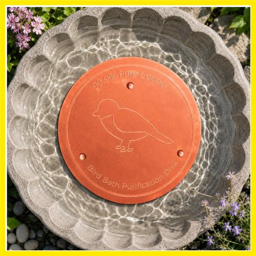 Bird bath water cleaner - bird,